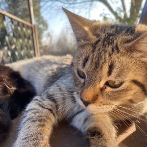 Meet your Posher, Mariana